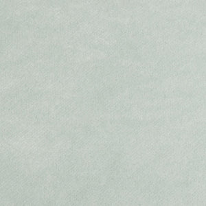 Tyra Heron - Velvet Upholstery Fabric