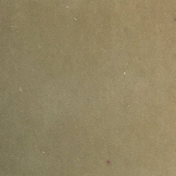 Tyra Acorn - Velvet Upholstery Fabric