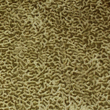 Alkali Gold - Velvet Upholstery Fabric