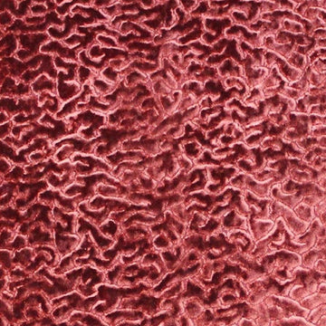 Alkali Terracotta - Velvet Upholstery Fabric