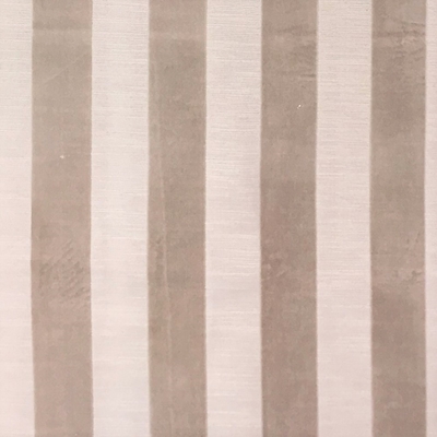 Haute House Fabric - Bande Ecru - Stripe Velvet #3898