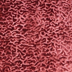 Haute House Fabric - Alkali Terracotta - Contemporary Velvet #3941