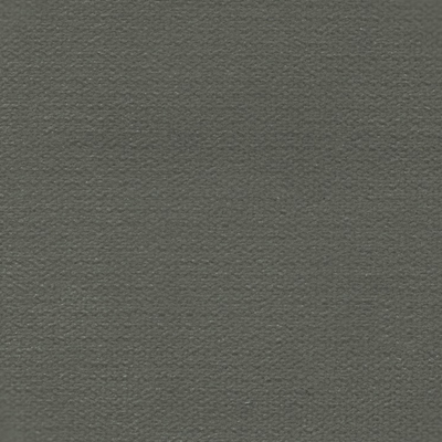 Haute House Fabric - George Flannel - Velvet Solid #4235
