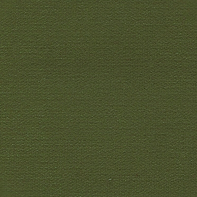 Haute House Fabric - George Emerald - Velvet Solid #4243