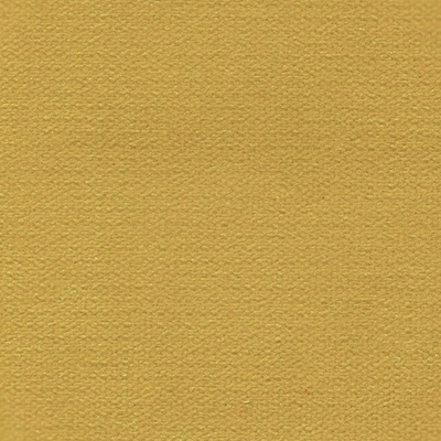 Haute House Fabric - George Marigold - Velvet Solid #4247