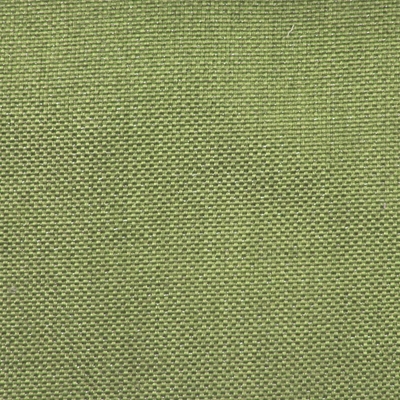 Haute House Fabric - Alamo Apple Green - Linen Like Fabric #4833