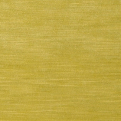 Haute House Fabric - Baxter Chartreuse - Velvet #4896