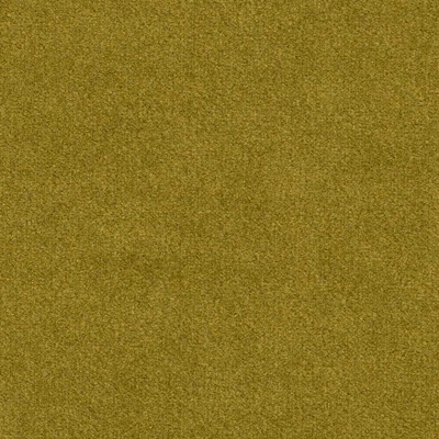 Haute House Fabric - Ritz Wasabi - Velvet Fabric #5746
