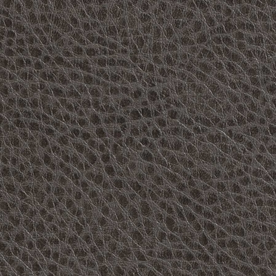 Haute House Fabric - Olympic Charcoal - Vinyl Fabric #5838