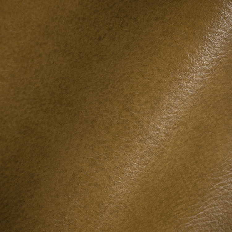 Haute House Fabric - Romantico Sage - Leather Upholstery Fabric #3466