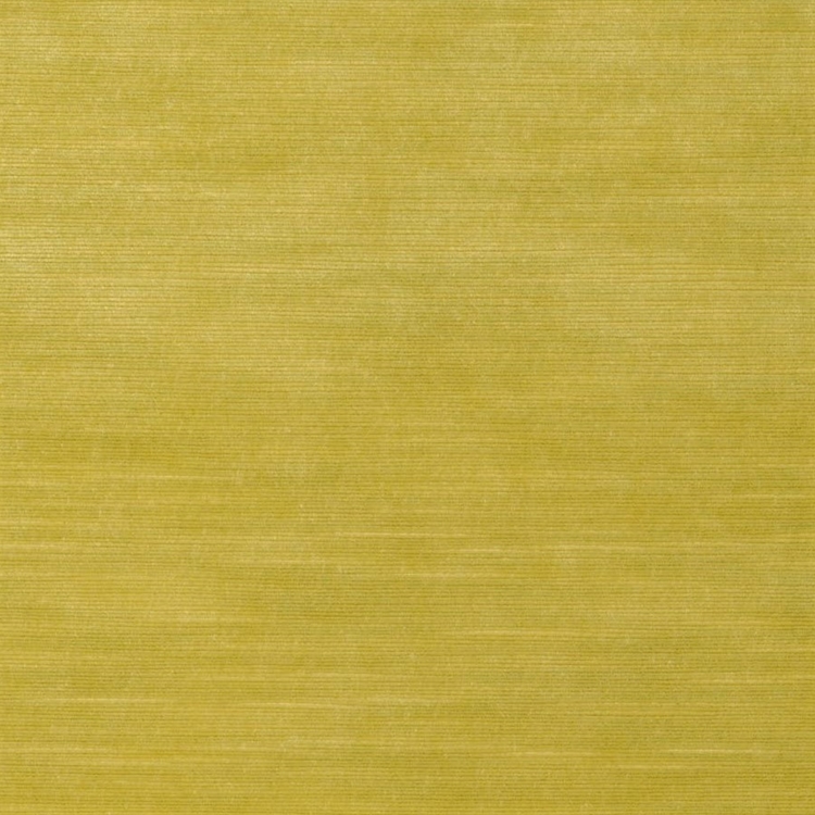 Haute House Fabric - Baxter Chartreuse - Velvet #4896