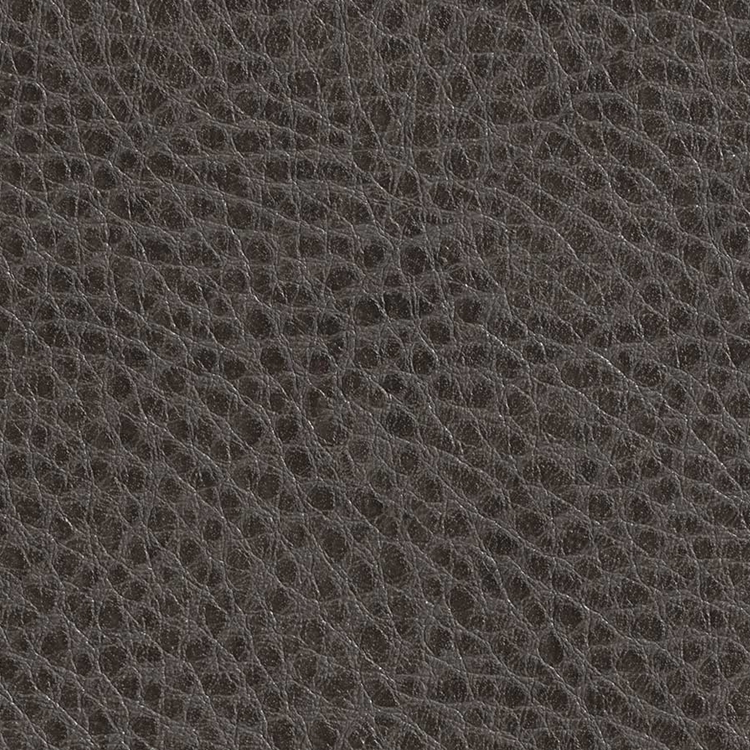 Haute House Fabric - Olympic Charcoal - Vinyl Fabric #5838