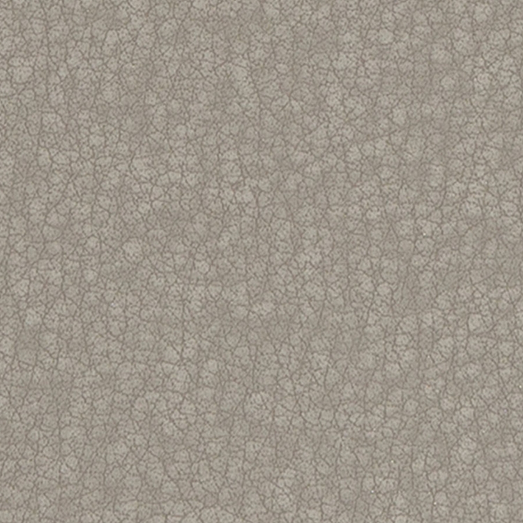 Haute House Fabric - Debra Cement - Vinyl Fabric #5847